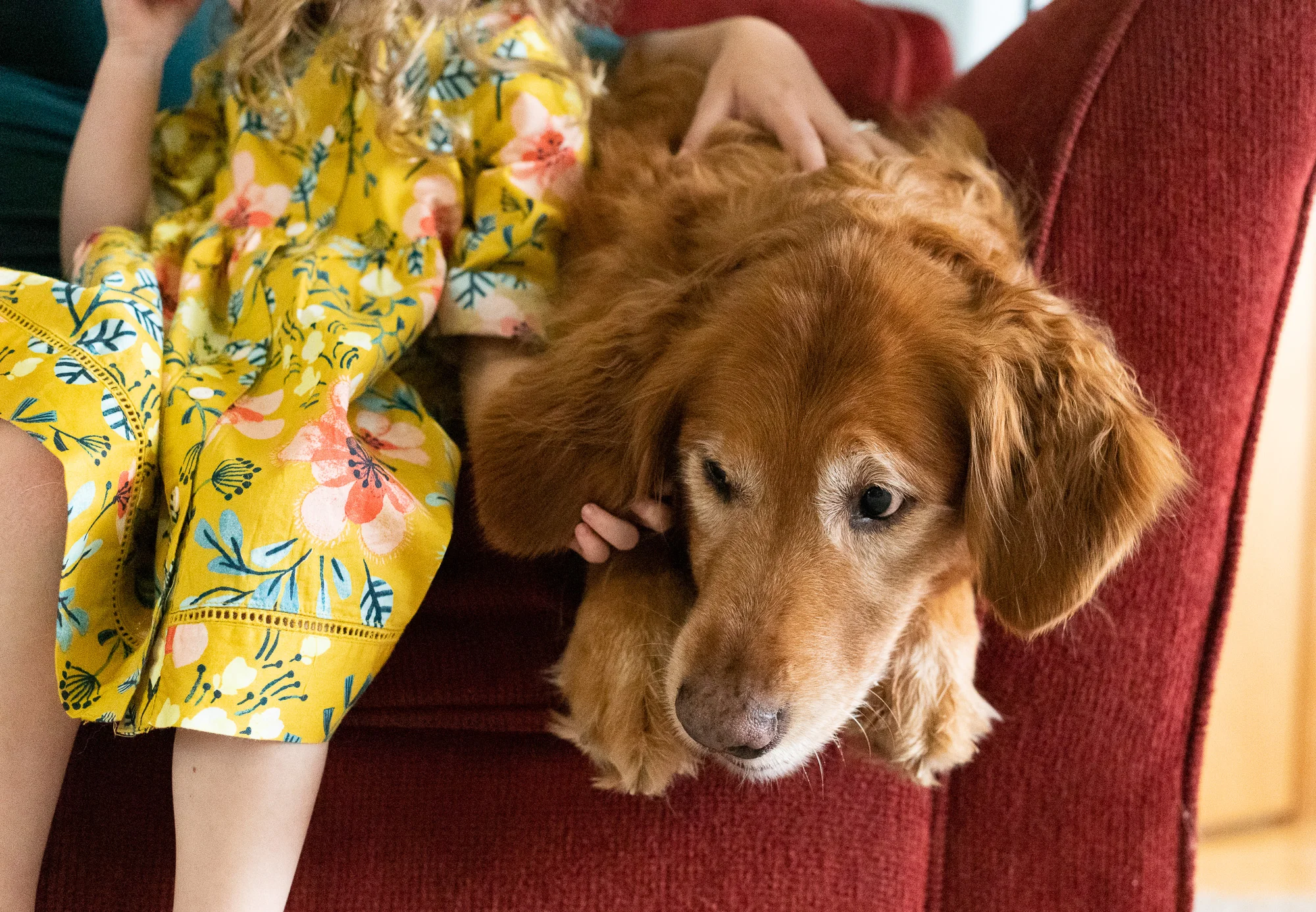 Vancouver Washington Family Photographer | Jaime Bugbee Photography