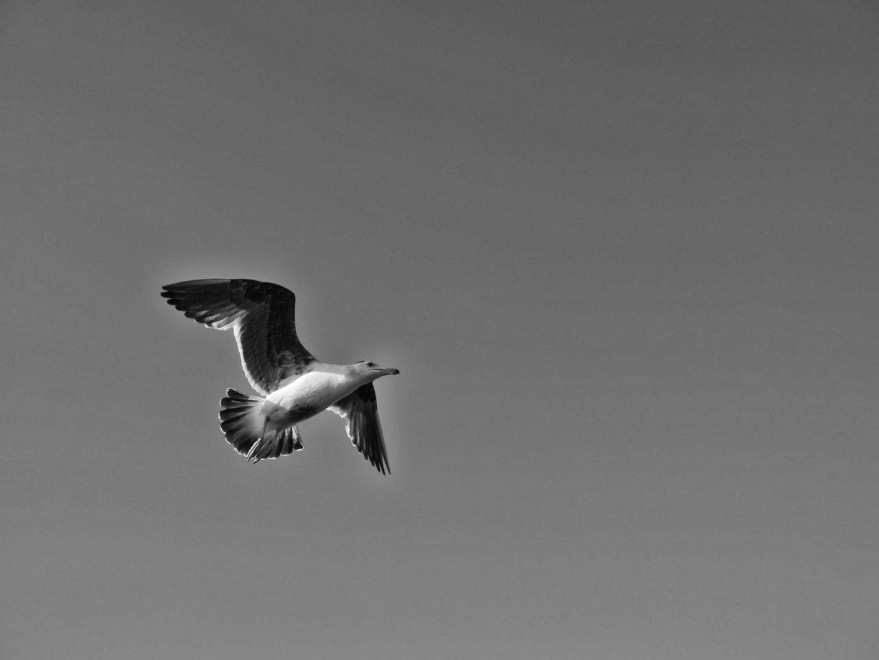 P1020773.jpg