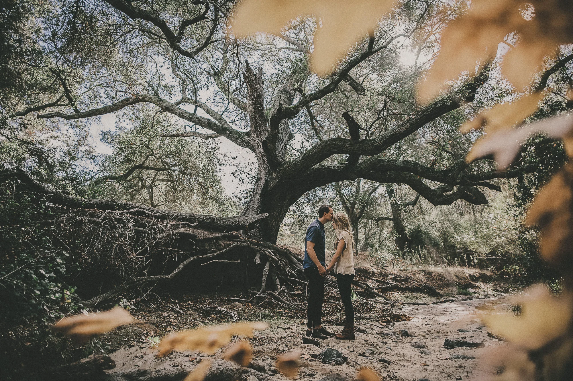 engagement_0154.jpg