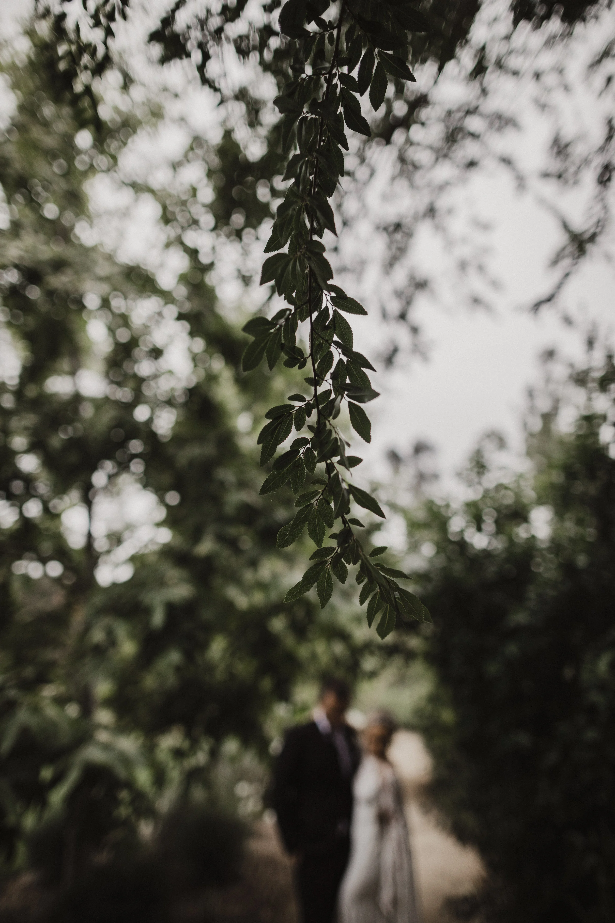 wedding_preview_066.jpg