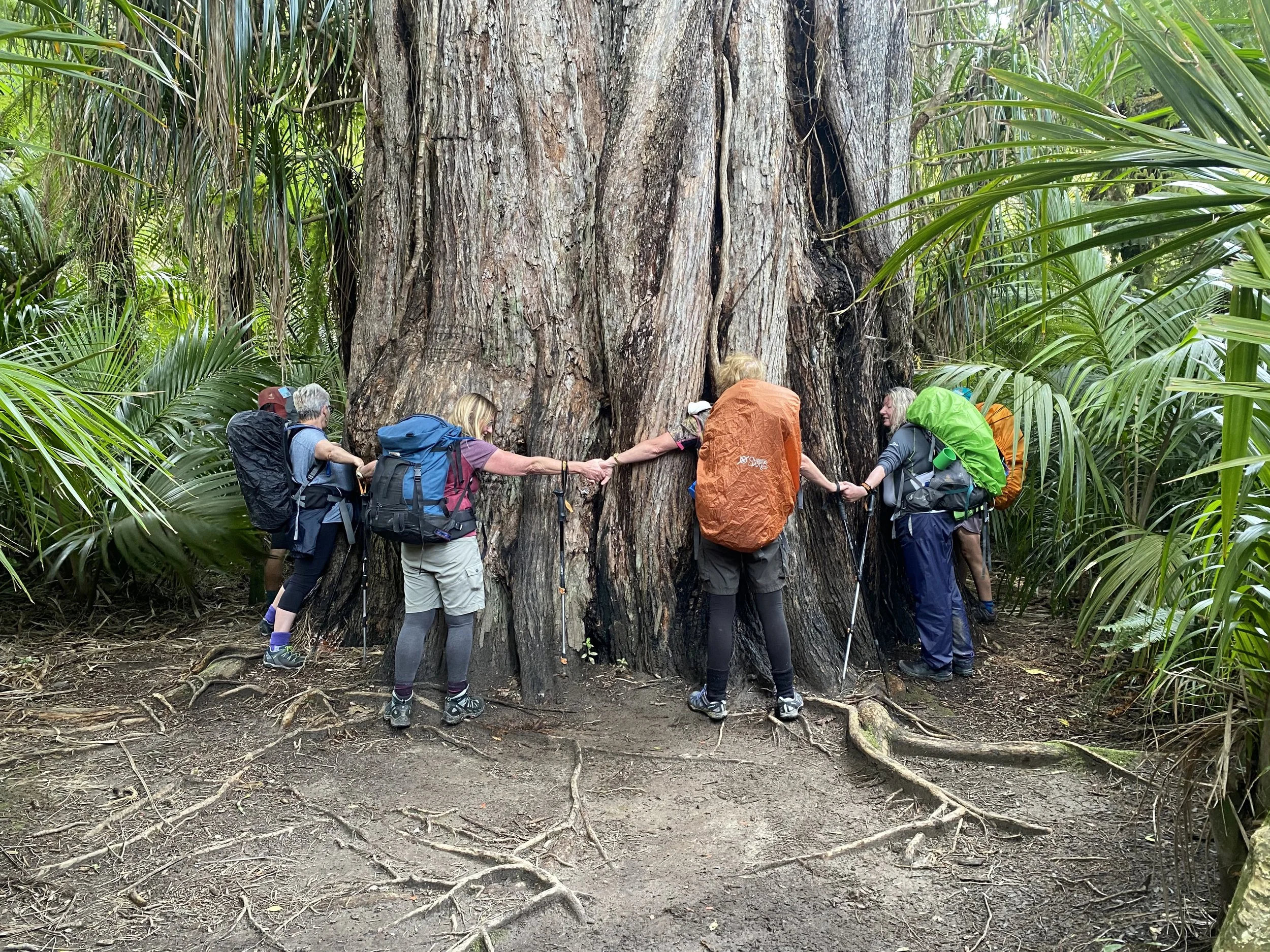 tree hugging.JPG