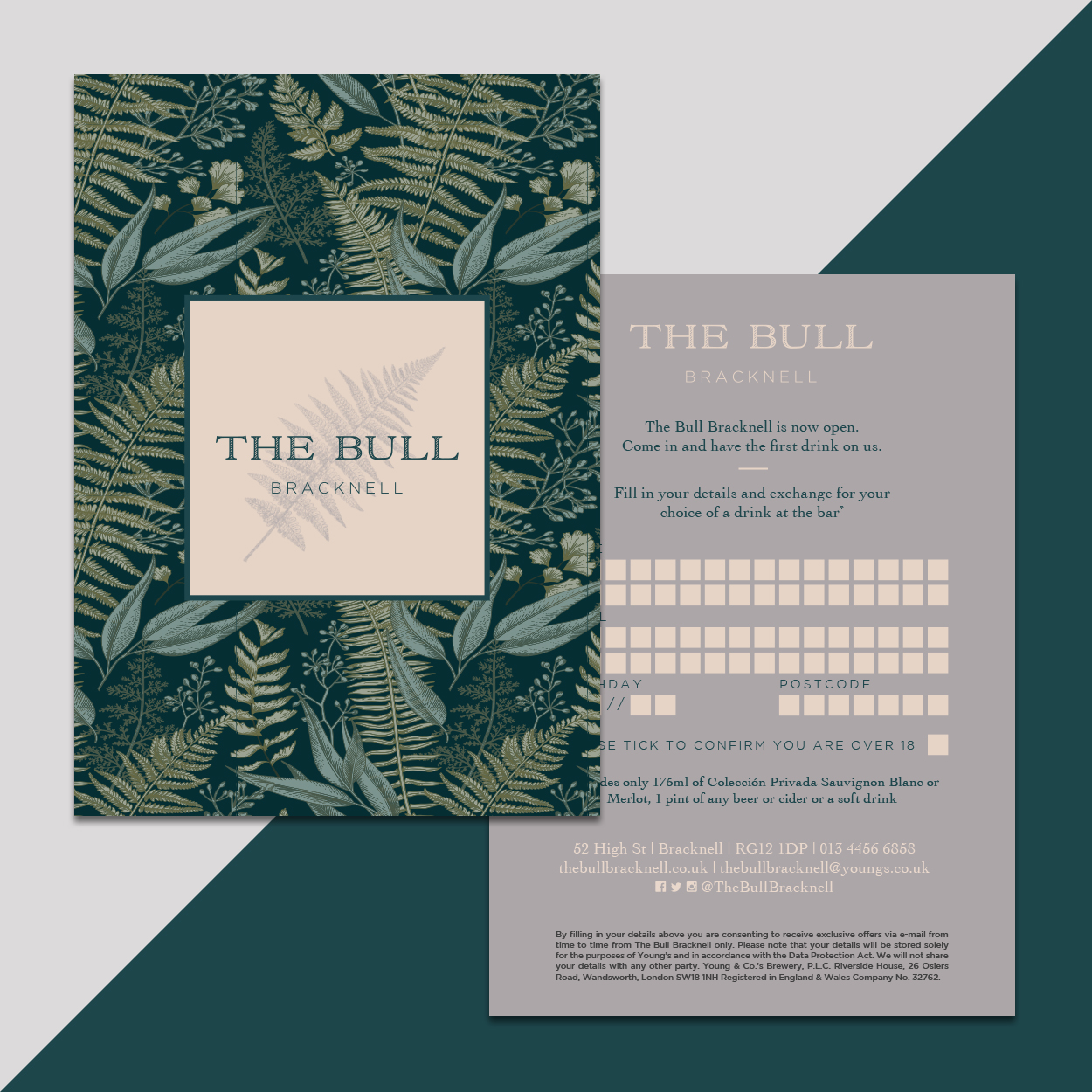 BullImages2019Artboard 2 copy.jpg