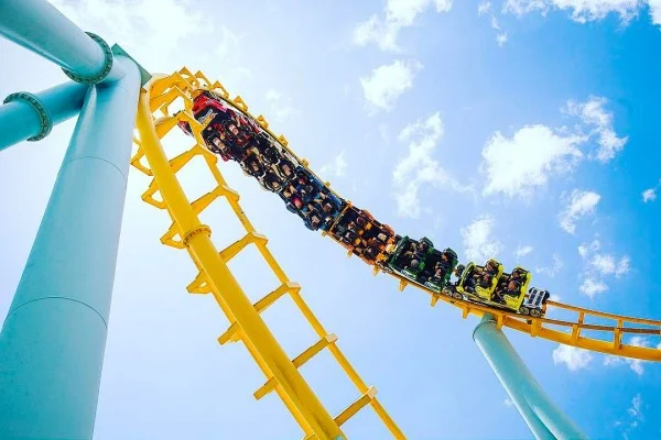 Bagaimana Cara Bertahan di Tengah Pasar Saham yang Seperti Roller Coaster