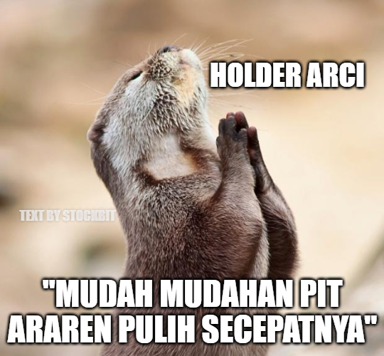 🪙 ARCI: Bullish Emas, Valuasi Murah, Laba All Time High FY24E