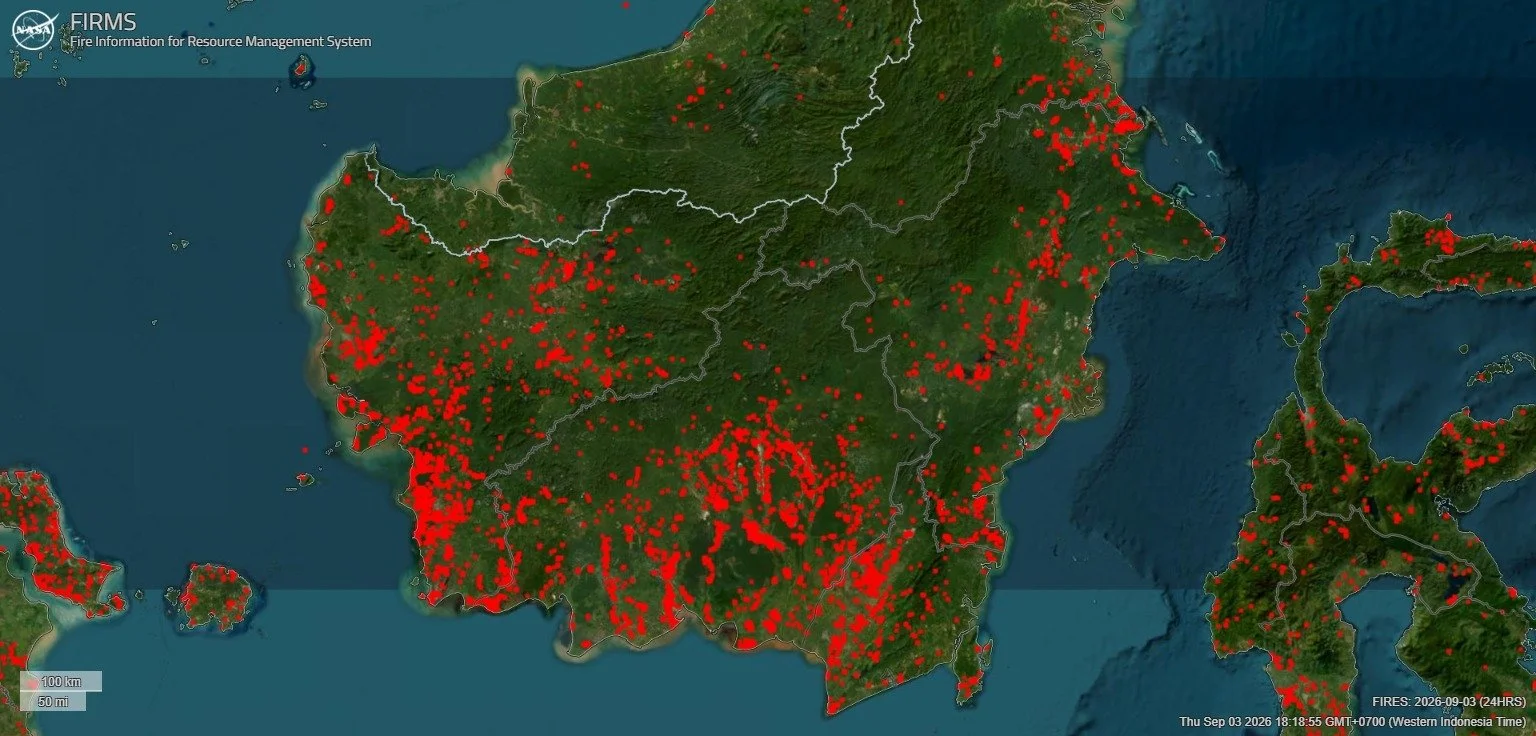 📈 CPO &amp; Batu Bara Naik ke Level Kunci seiring Kekhawatiran Suplai dari El Nino