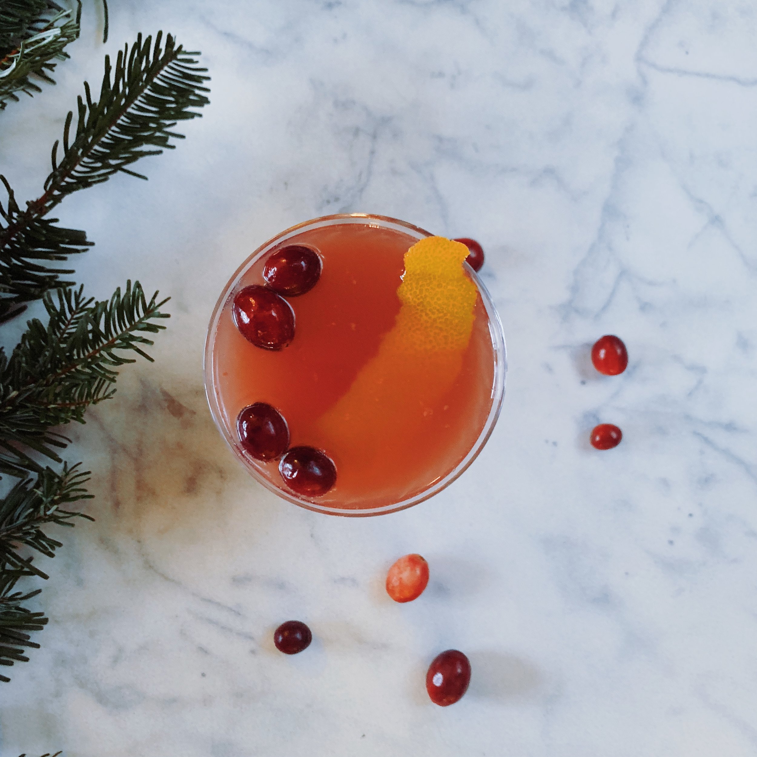 Apple Cider Cranberry Punch Mocktail