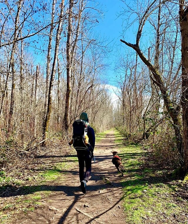 social distancing like🌲👱🏼&zwj;♂️🌲👩🏼🌲👧🏼🌲👦🏼🌲🐶🌲