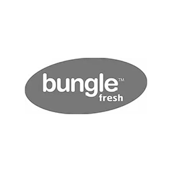 bungle-logo.png