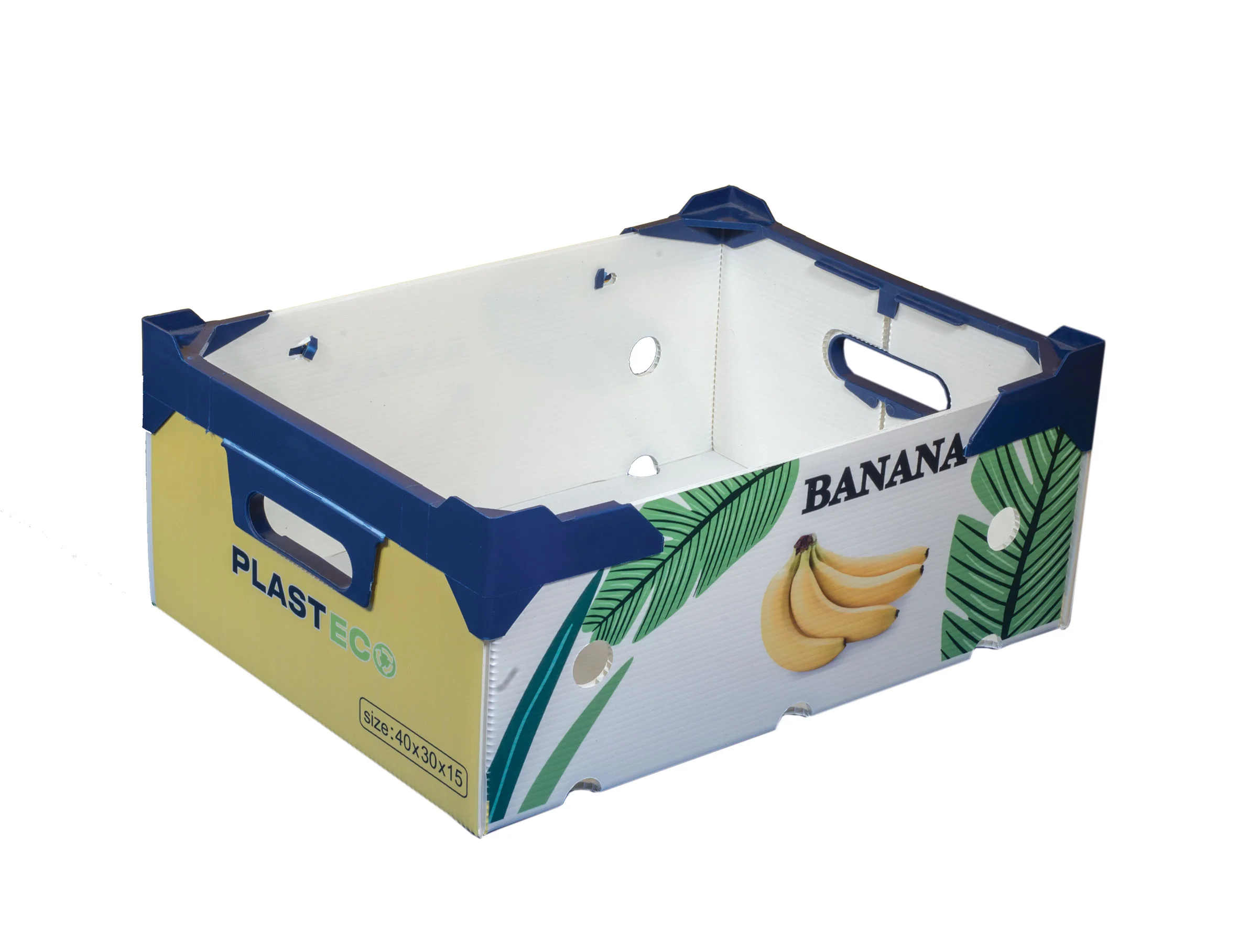 BANANA