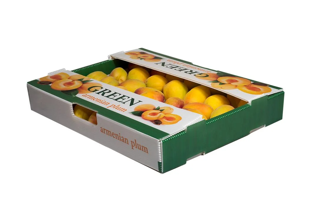 APRICOT