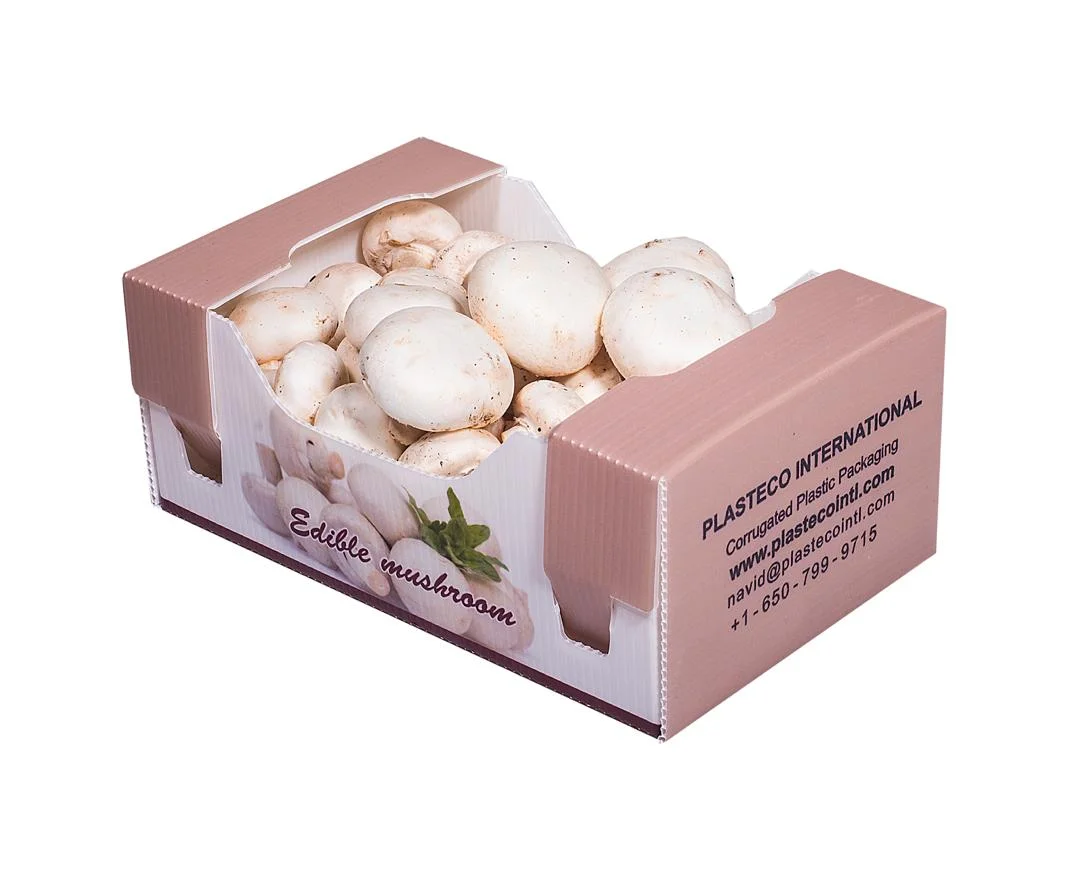 MUSHROOM