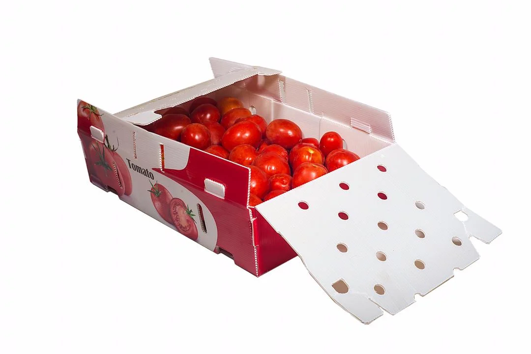 TOMATO