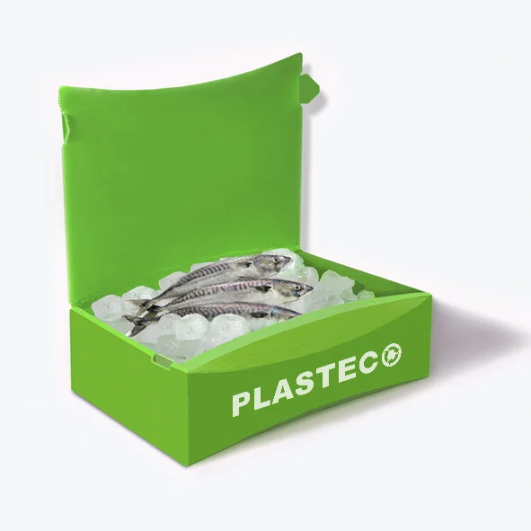 plasteco-2.E.E.jpg
