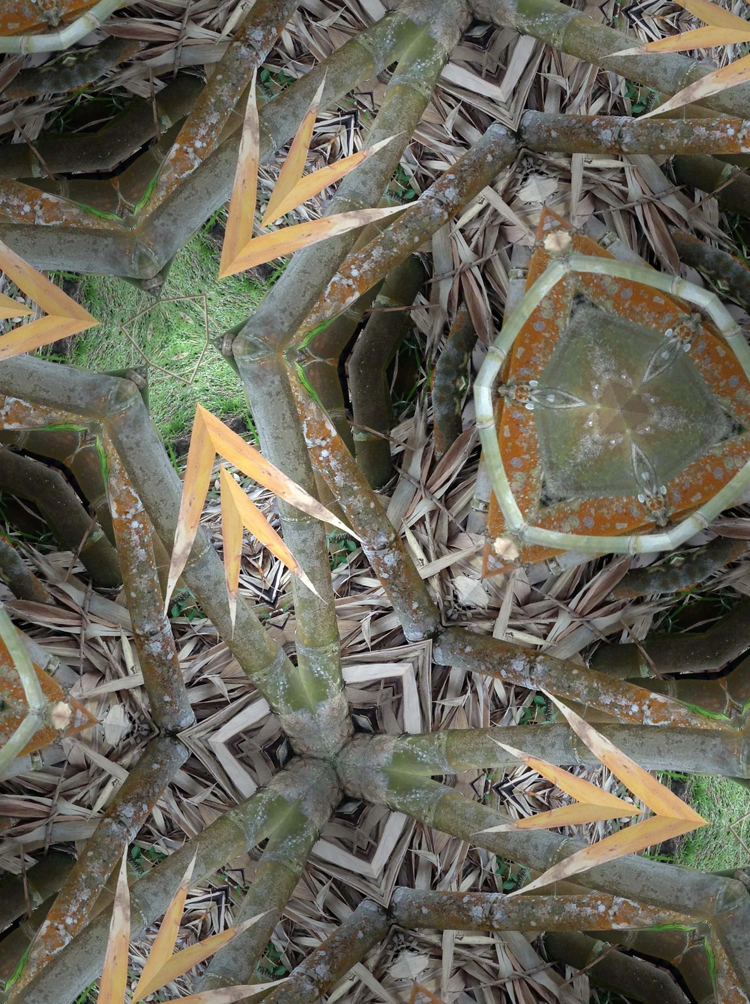 KaleidoBamboo2-web.jpg