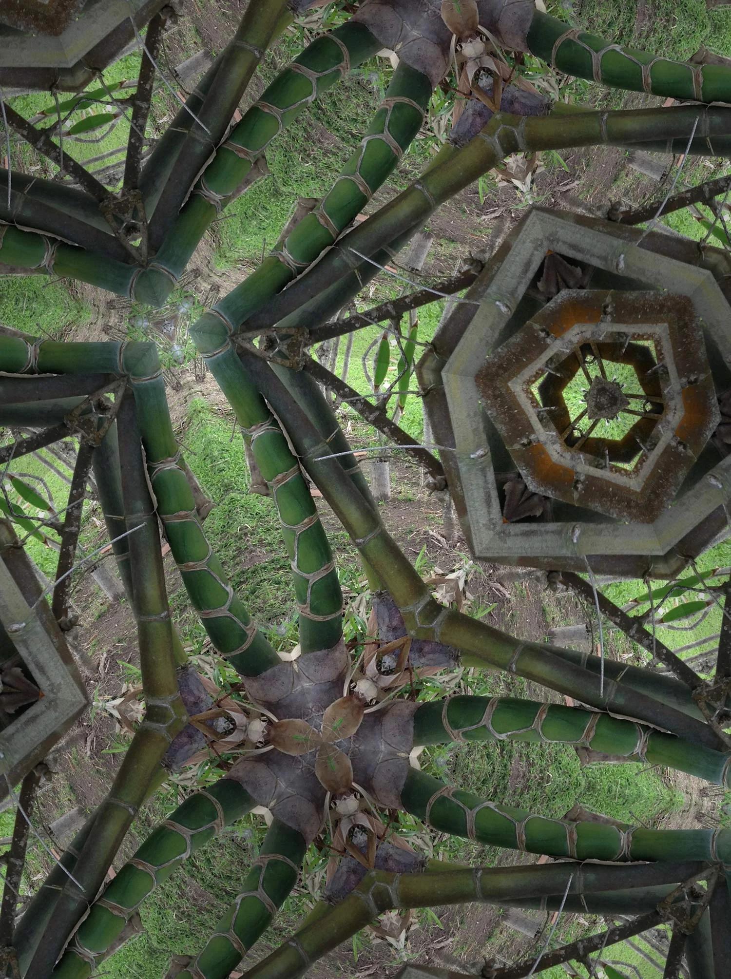 KaleidoBamboo3-web.jpg