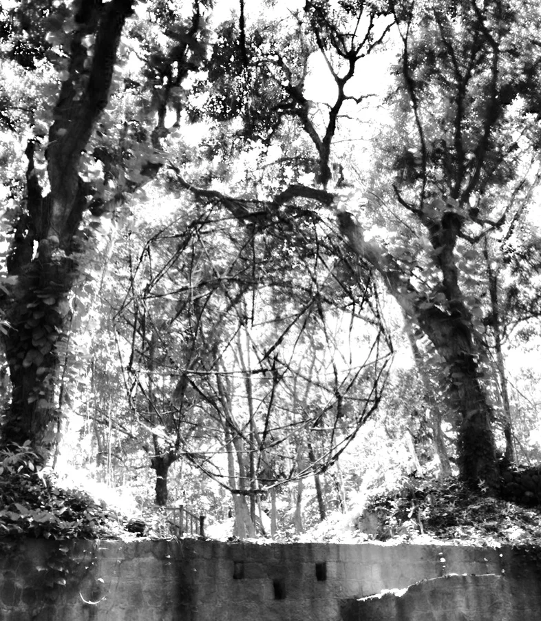 Geodesic-Noir-26 April 2014 copy 2.jpeg