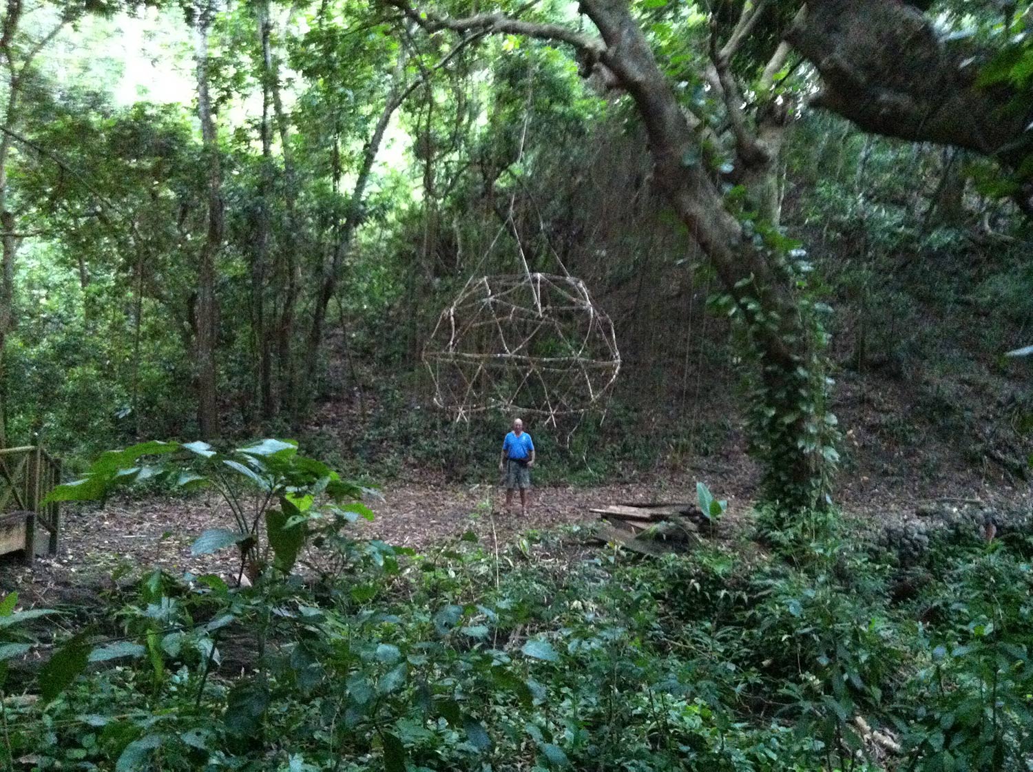 Treehouse 3_4-wMarty-web.jpg