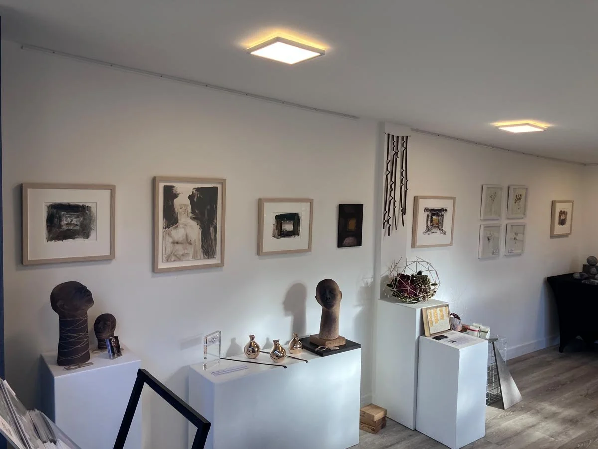 Exhibiting Artists - Carol Wagstaff, Christine Burgess, Mary Crabb, Jonathan Waights, Manny Woodard - with Penny Gambrill and Martin Lowell