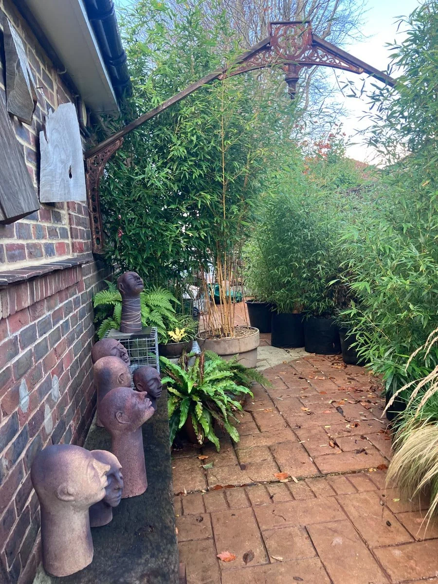 Our Bamboo Courtyard