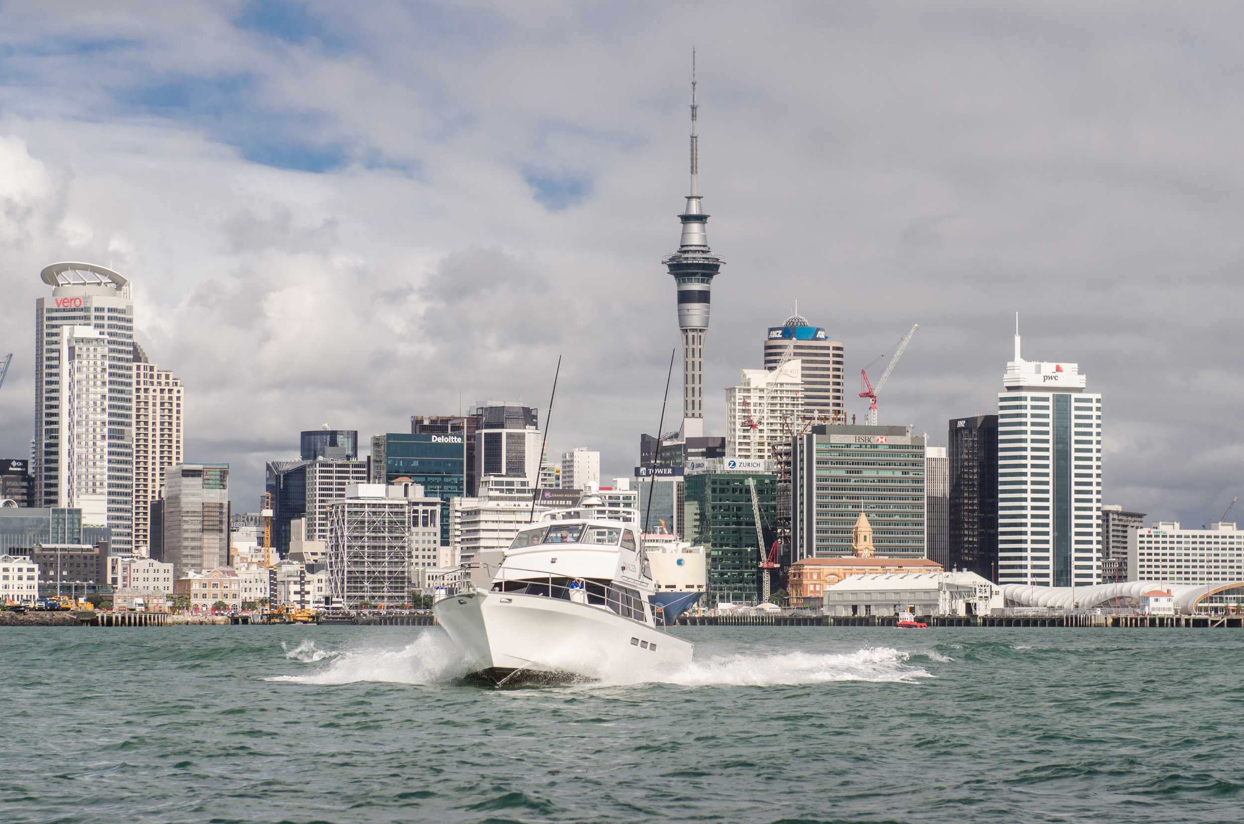 01_Vedo Marine Photography-1077.jpg