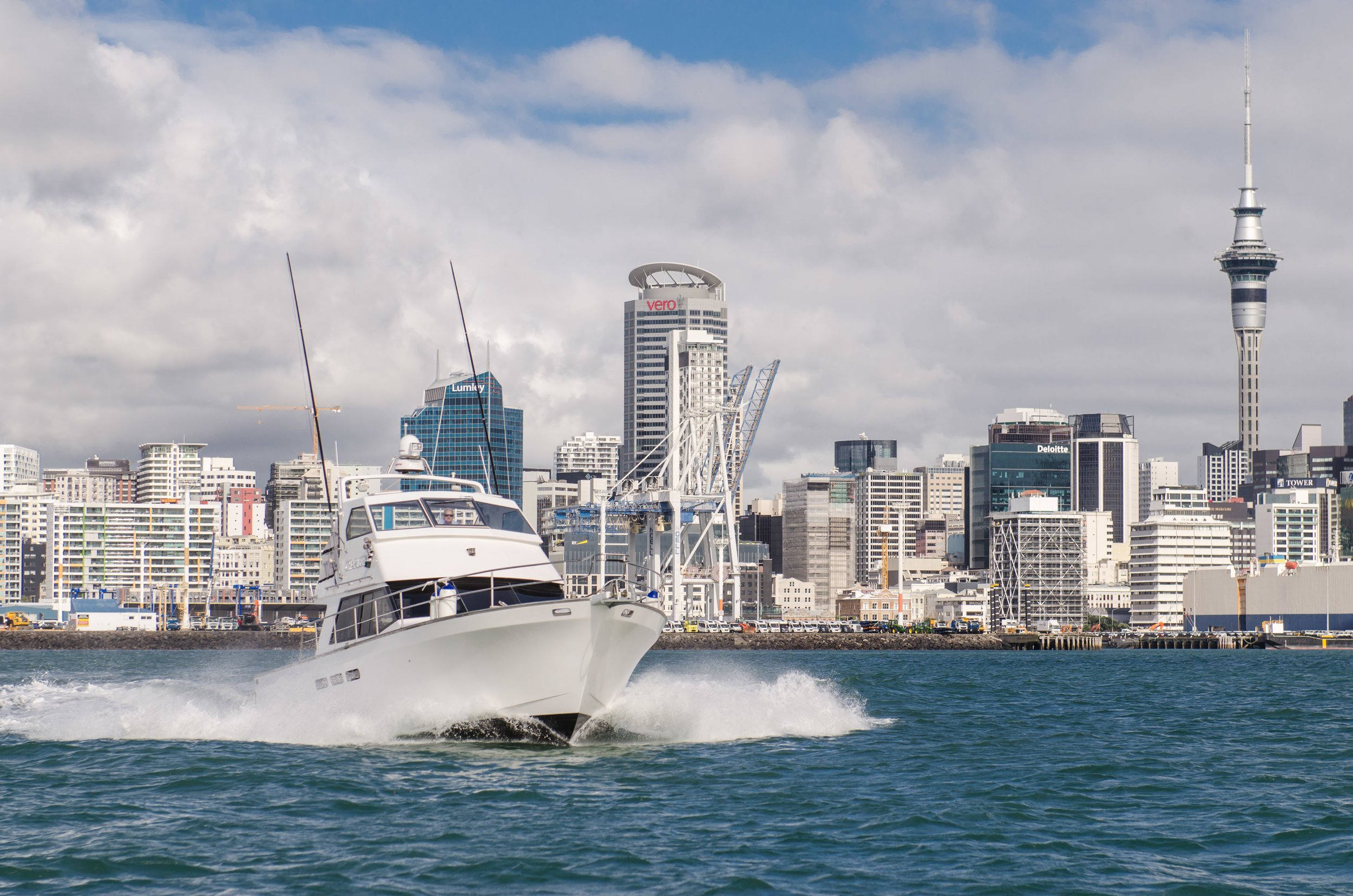 07_Vedo Marine Photography-1117.jpg