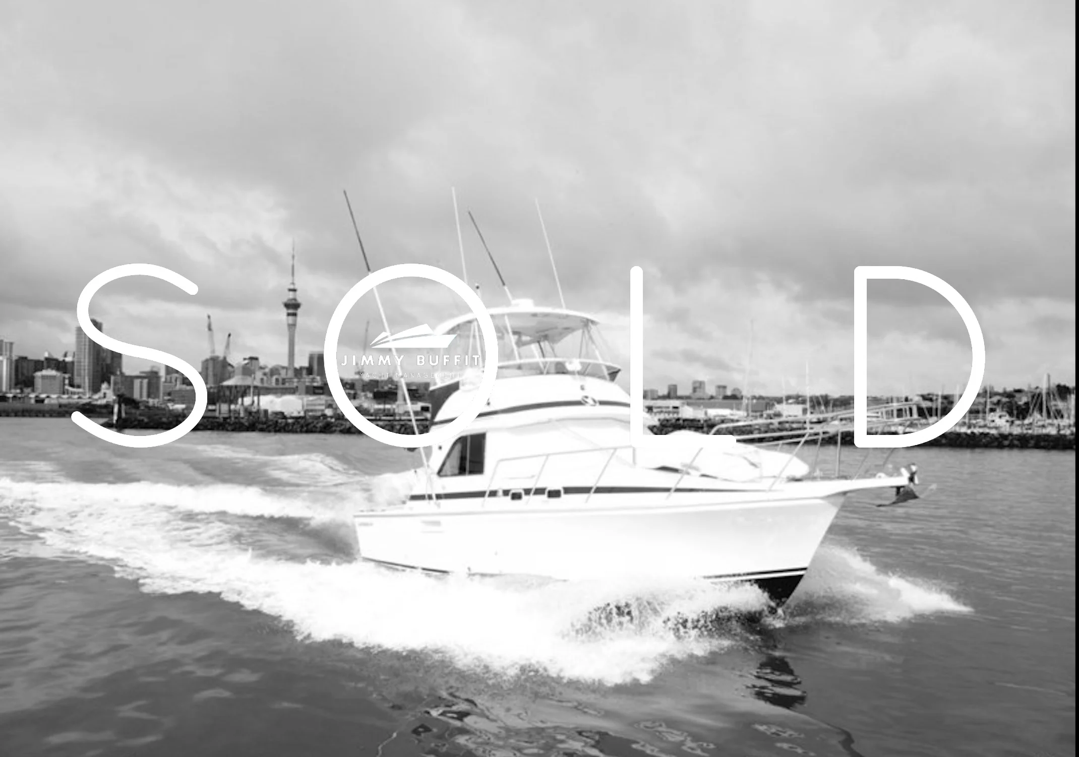 Caribbean 35