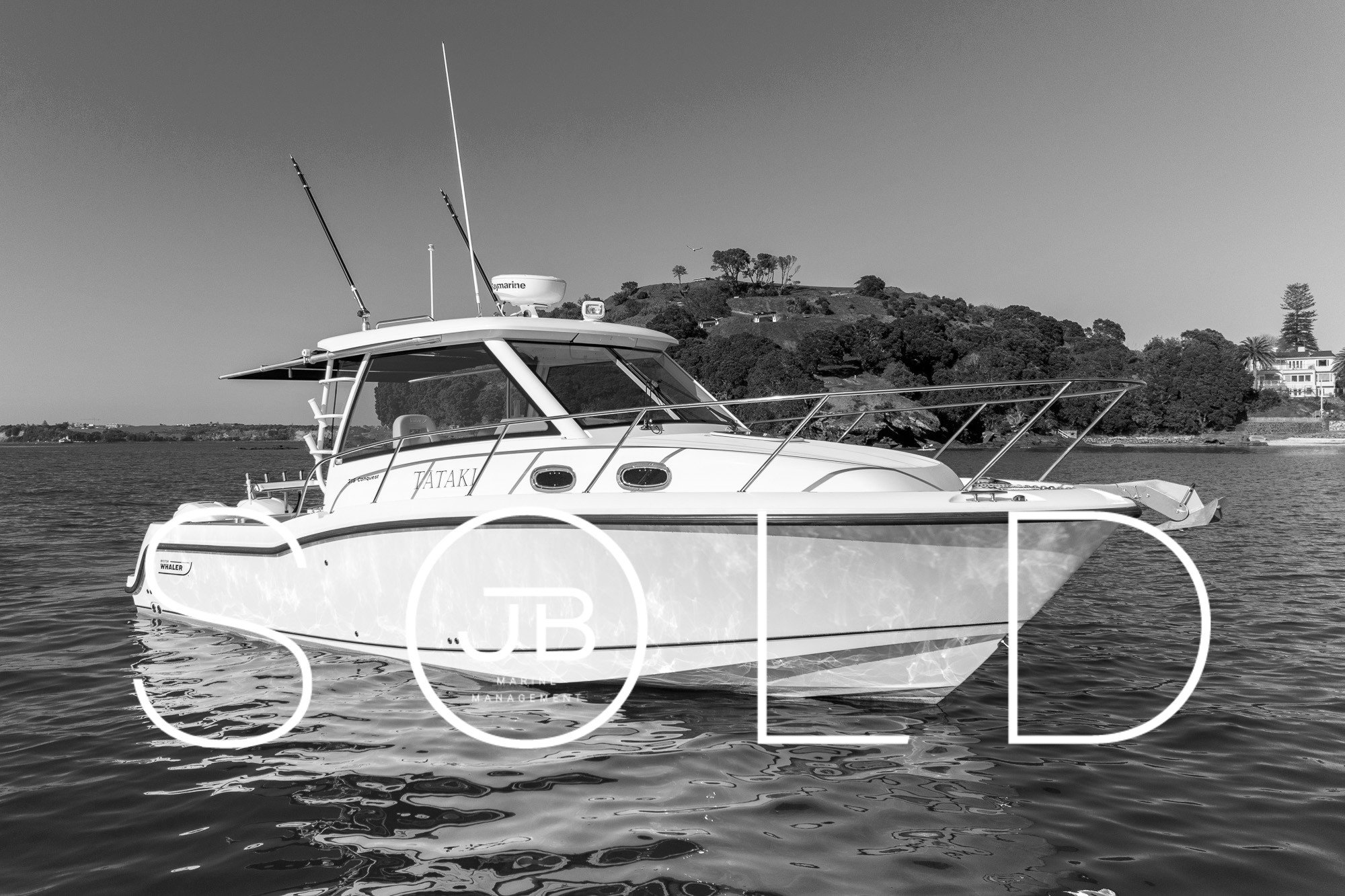 Boston Whaler 315 Conquest