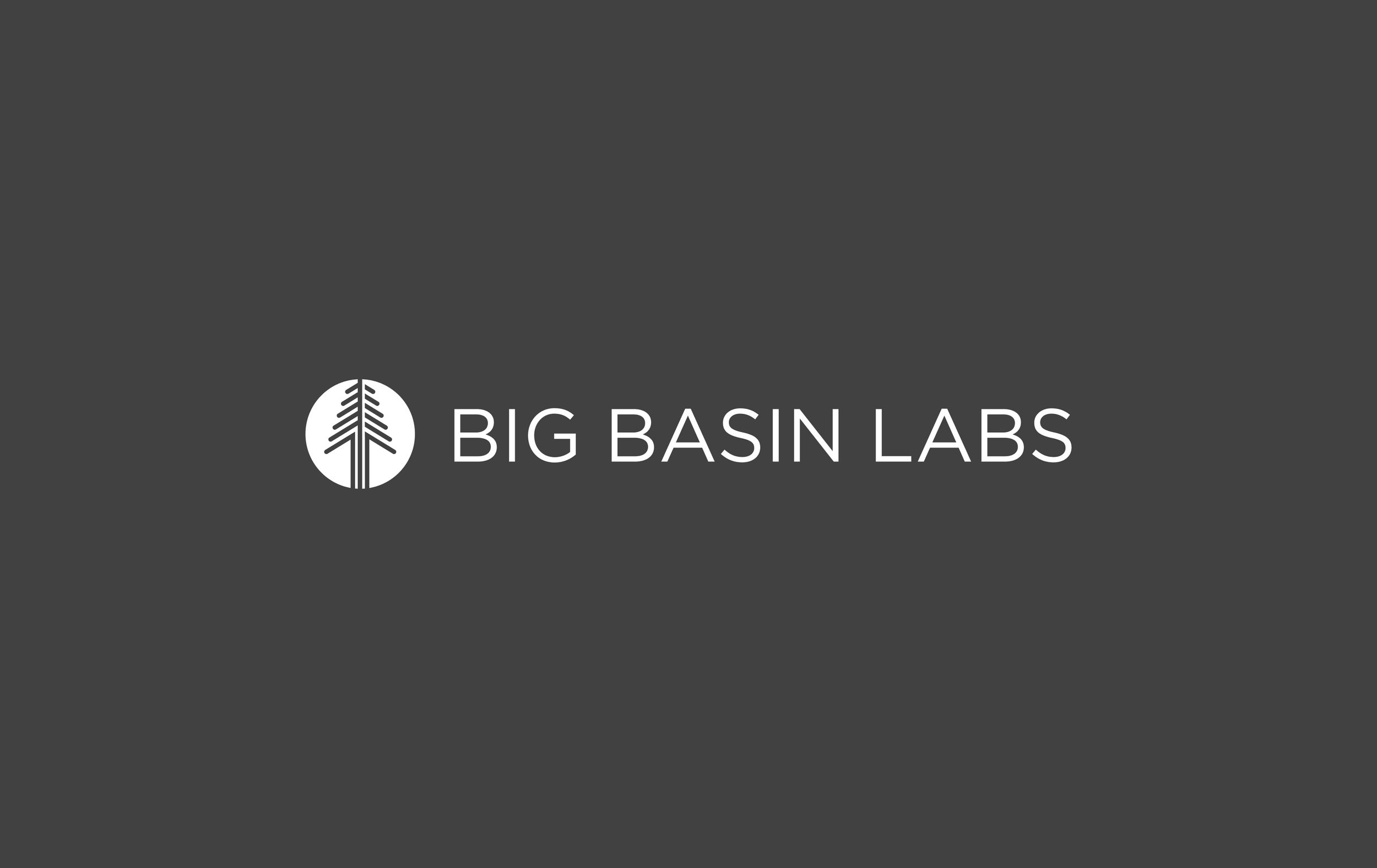 Co-founder at Big Basin Labs, Inc.