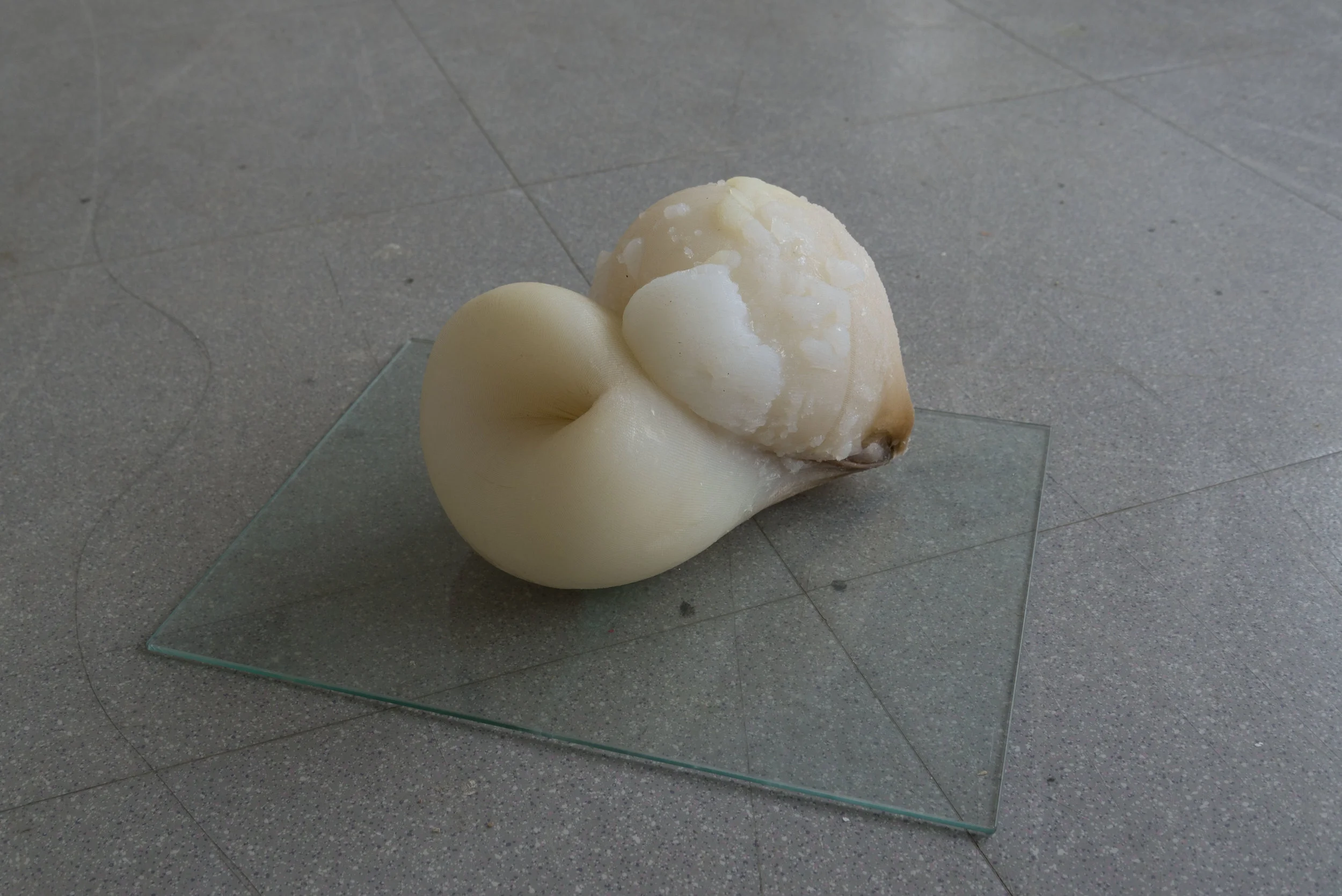 Excroissante 2