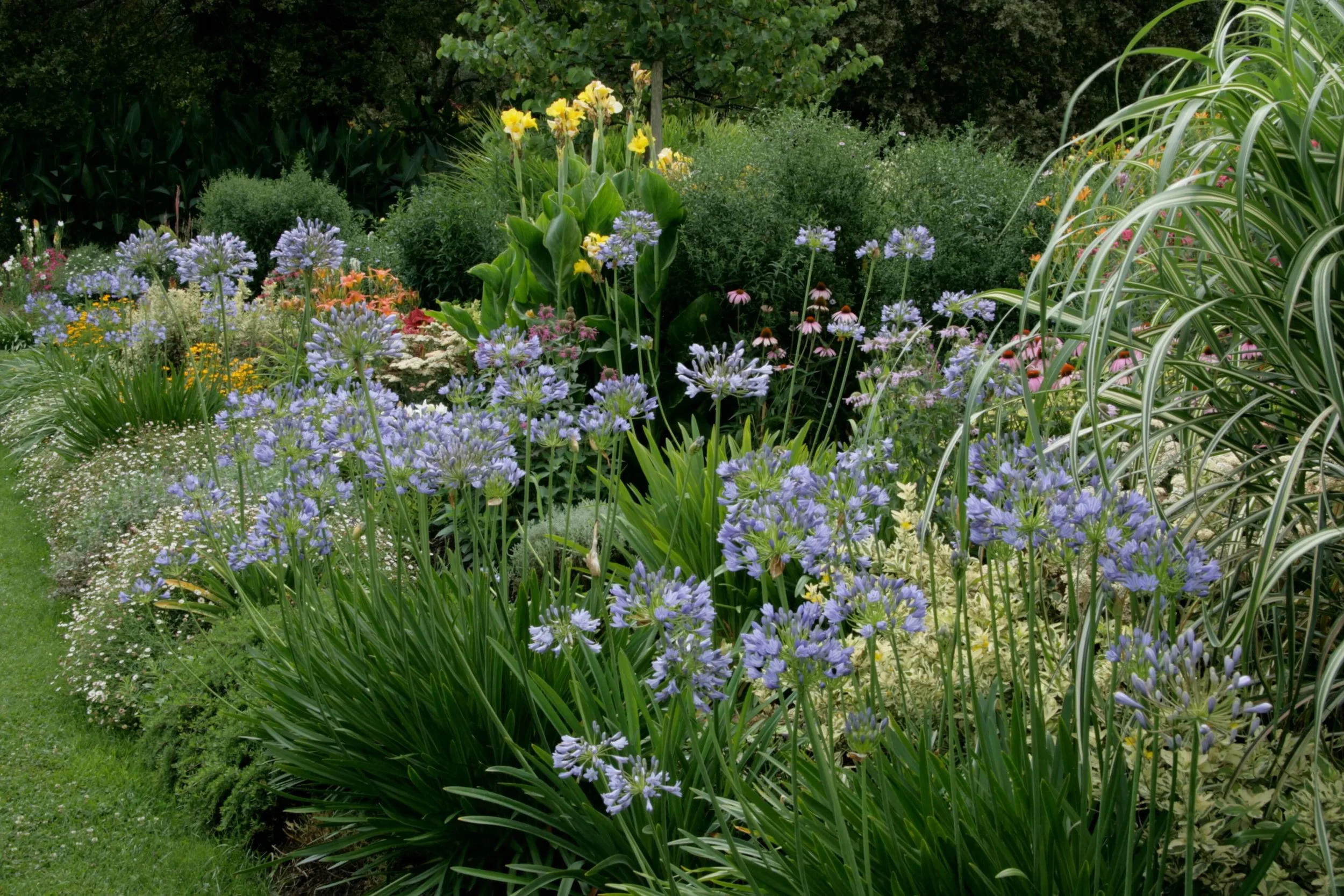 Garten Piazzan 07.JPG