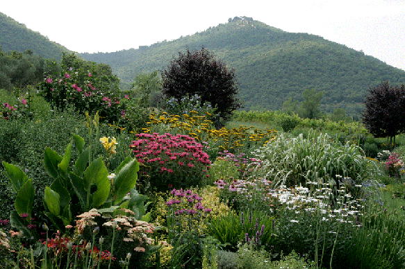 _Garten-Piazzano-EC72432DDCE36AC00EF99 Kopie Kopie.png