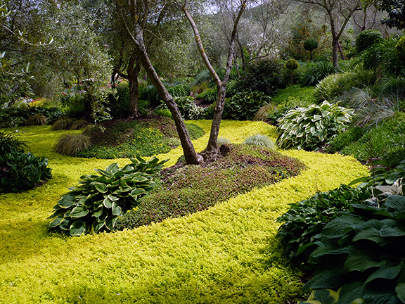 Garten Piazzan 11.png