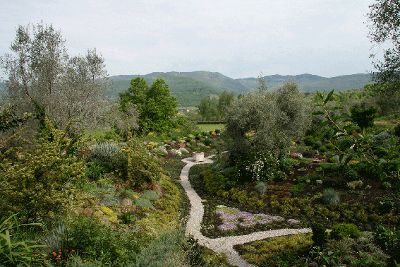 Garten-Piazzan-09 Kopie.png