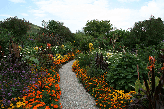 Garten Piazzan 14 Kopie.png