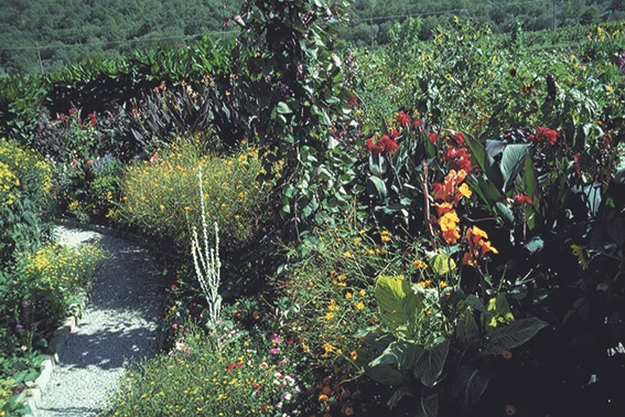 GARTEN2 Kopie.jpg