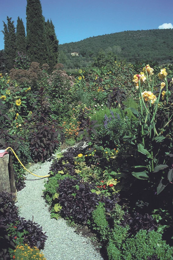 GARTEN00 Kopie.jpg