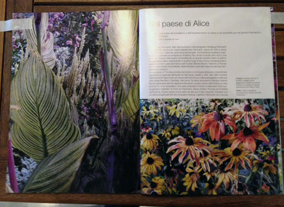 IMG Mag 04.png