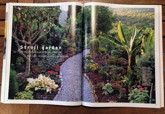 IMG MAG 05.png
