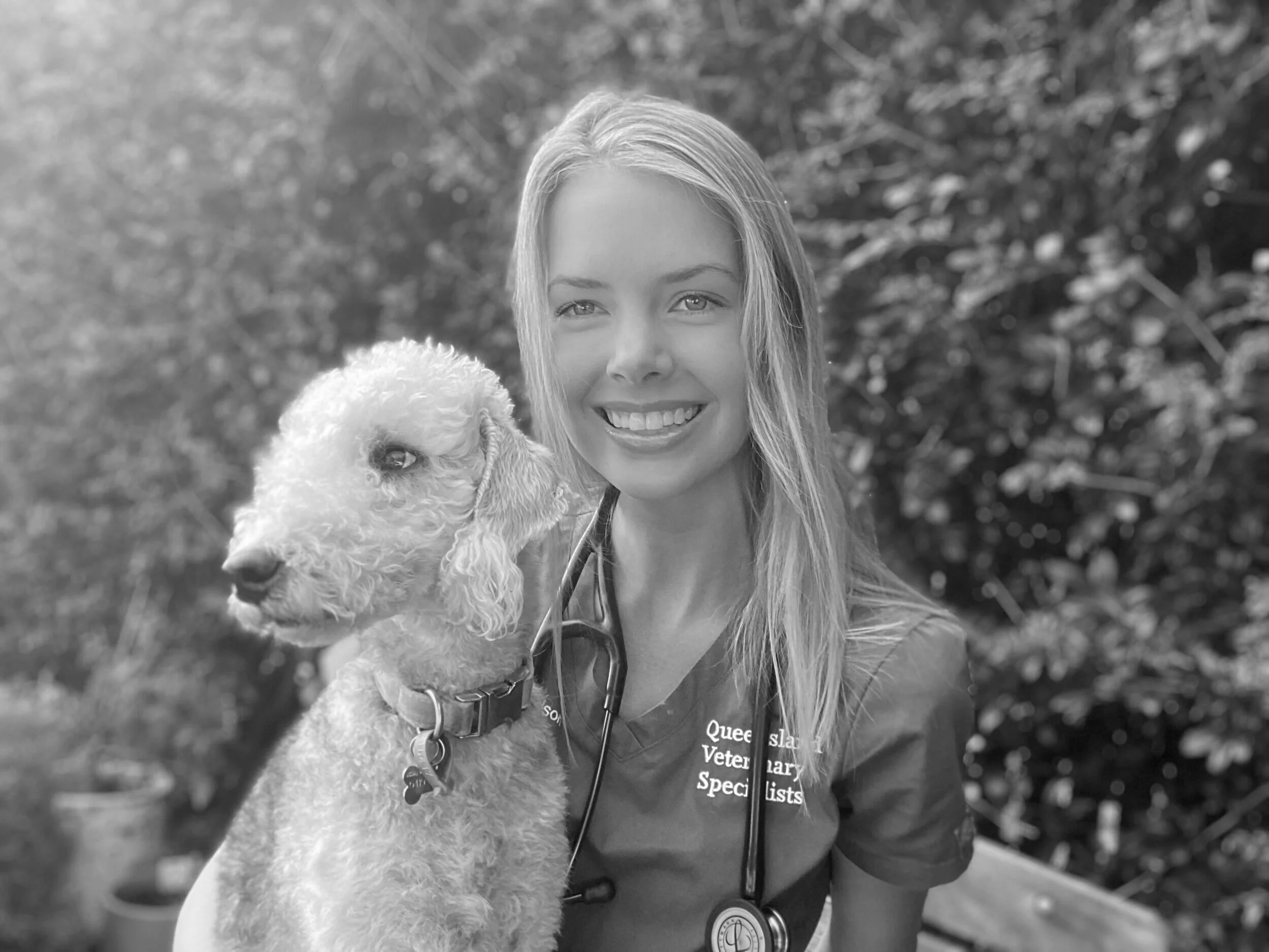 Team — Pet Emergency