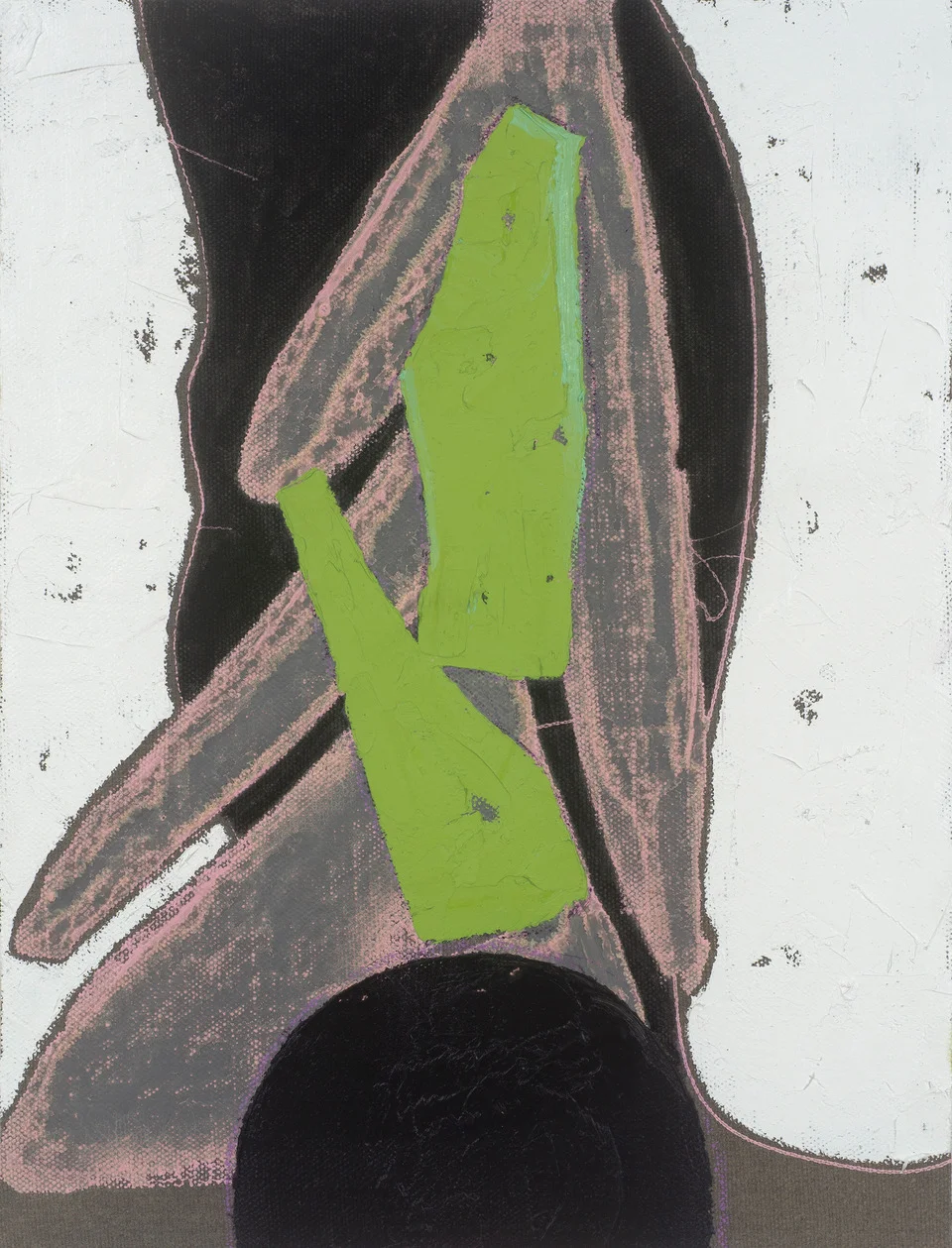 Casurina 1 , 2017 oil on linen 46 x 35 cm