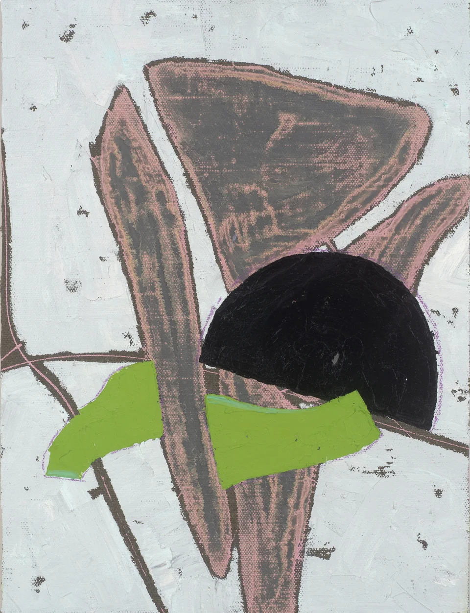 Casurina 3 , 2017 oil on linen 46 x 35 cm