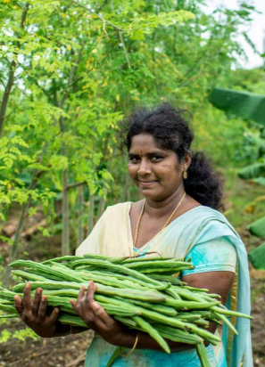 Investing in the New Food and Land Use Economy