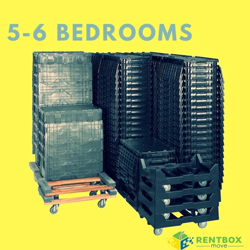 5-6 bedroom boxes.jpg