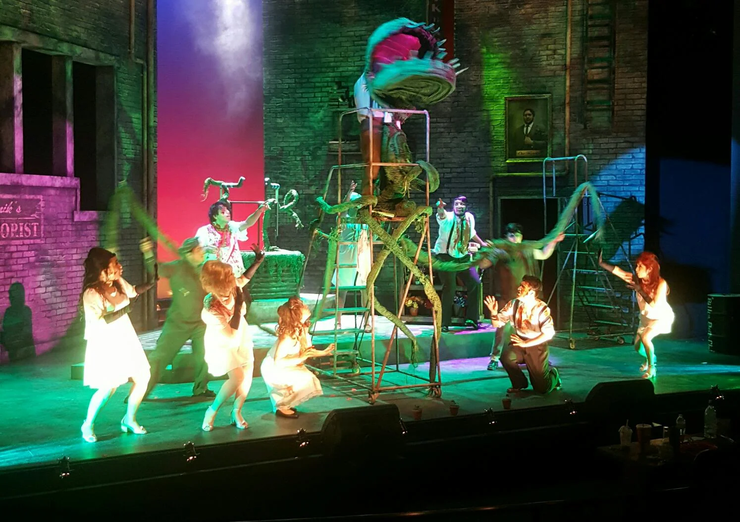Little Shop of Horrors