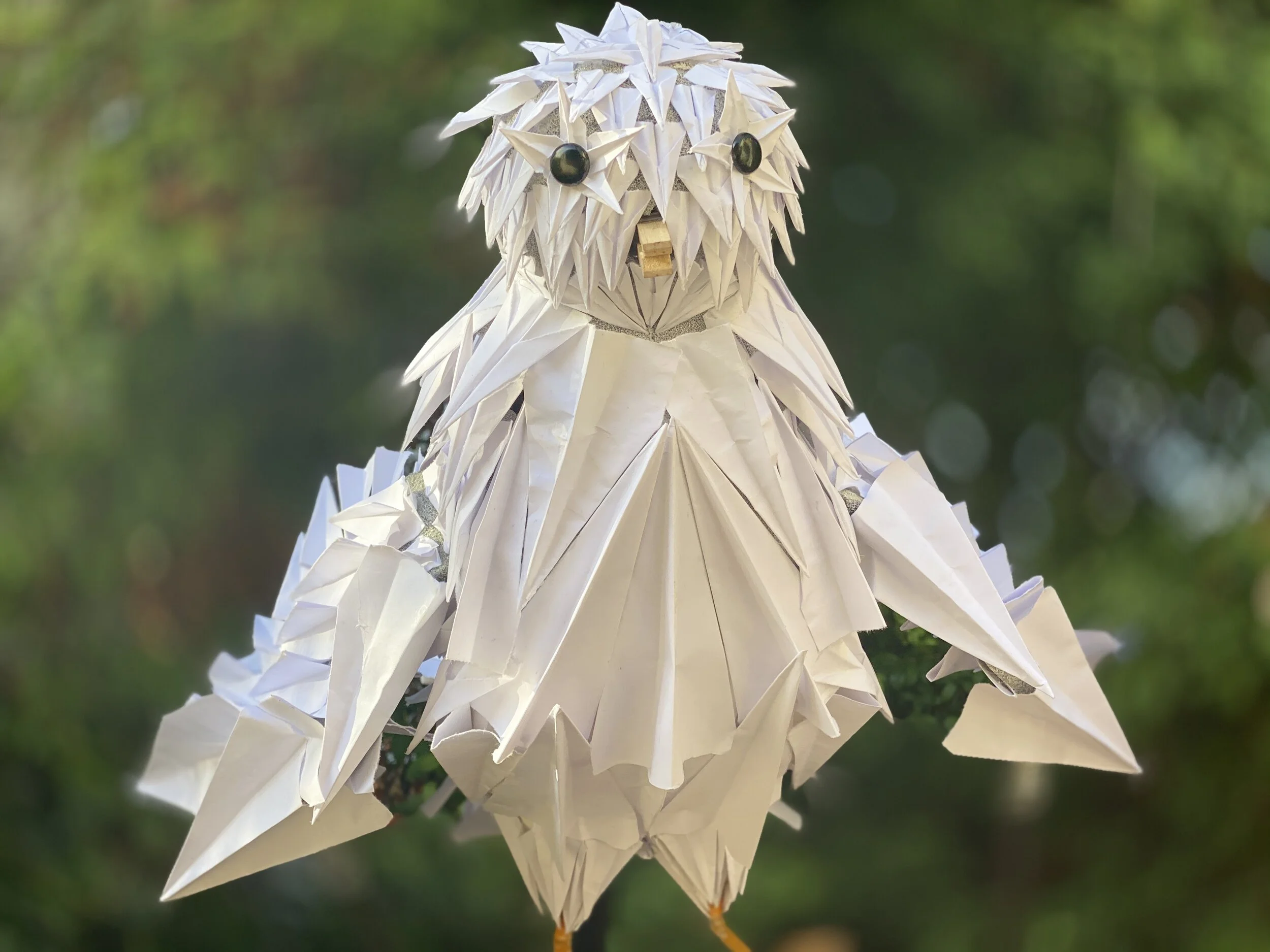 The Builder and the Dove