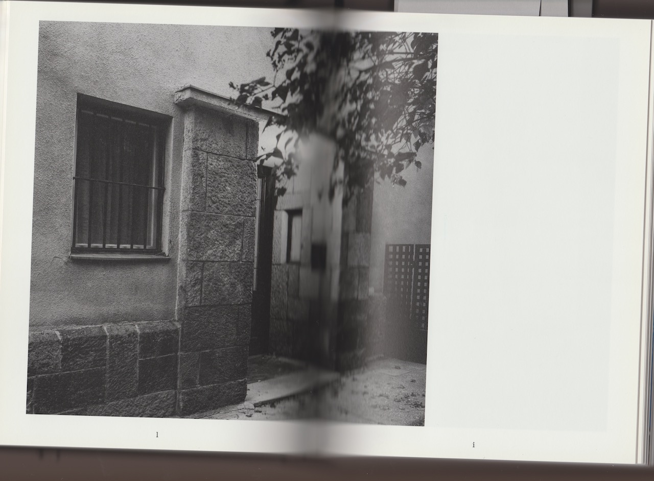 Scan 13.jpeg