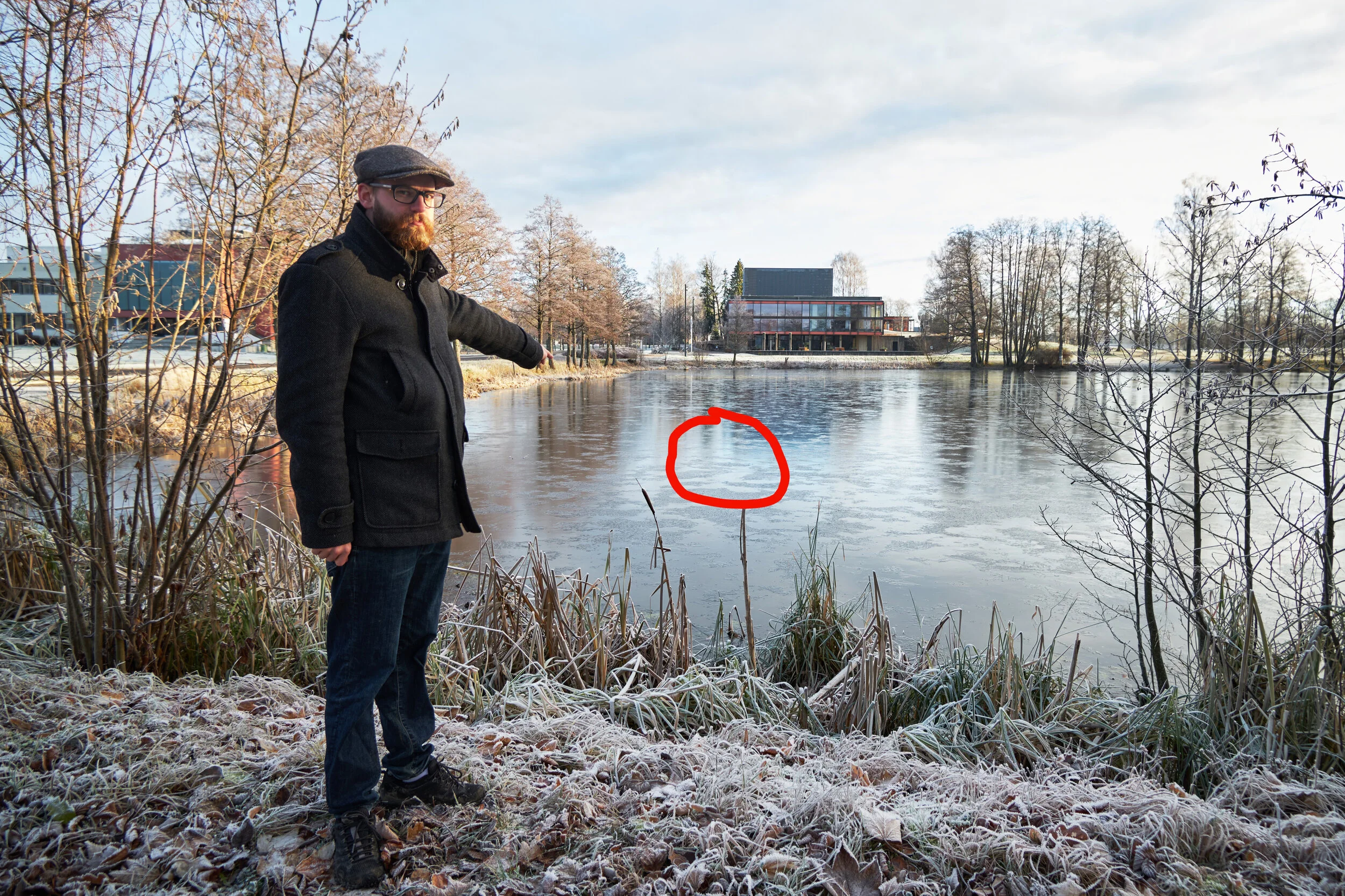 Fastfrosset i Skogsdammen
