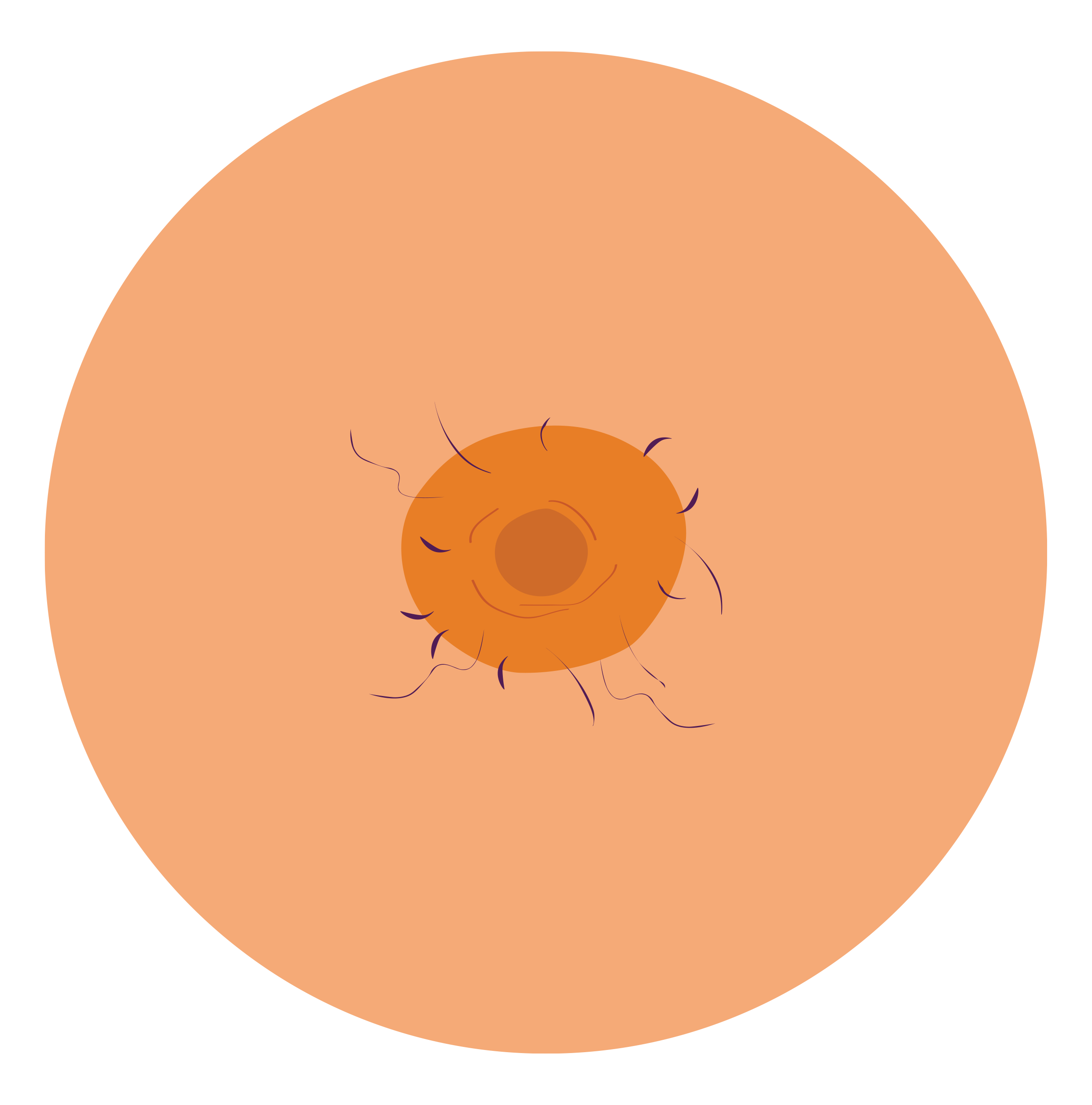 Hårete nippel.png