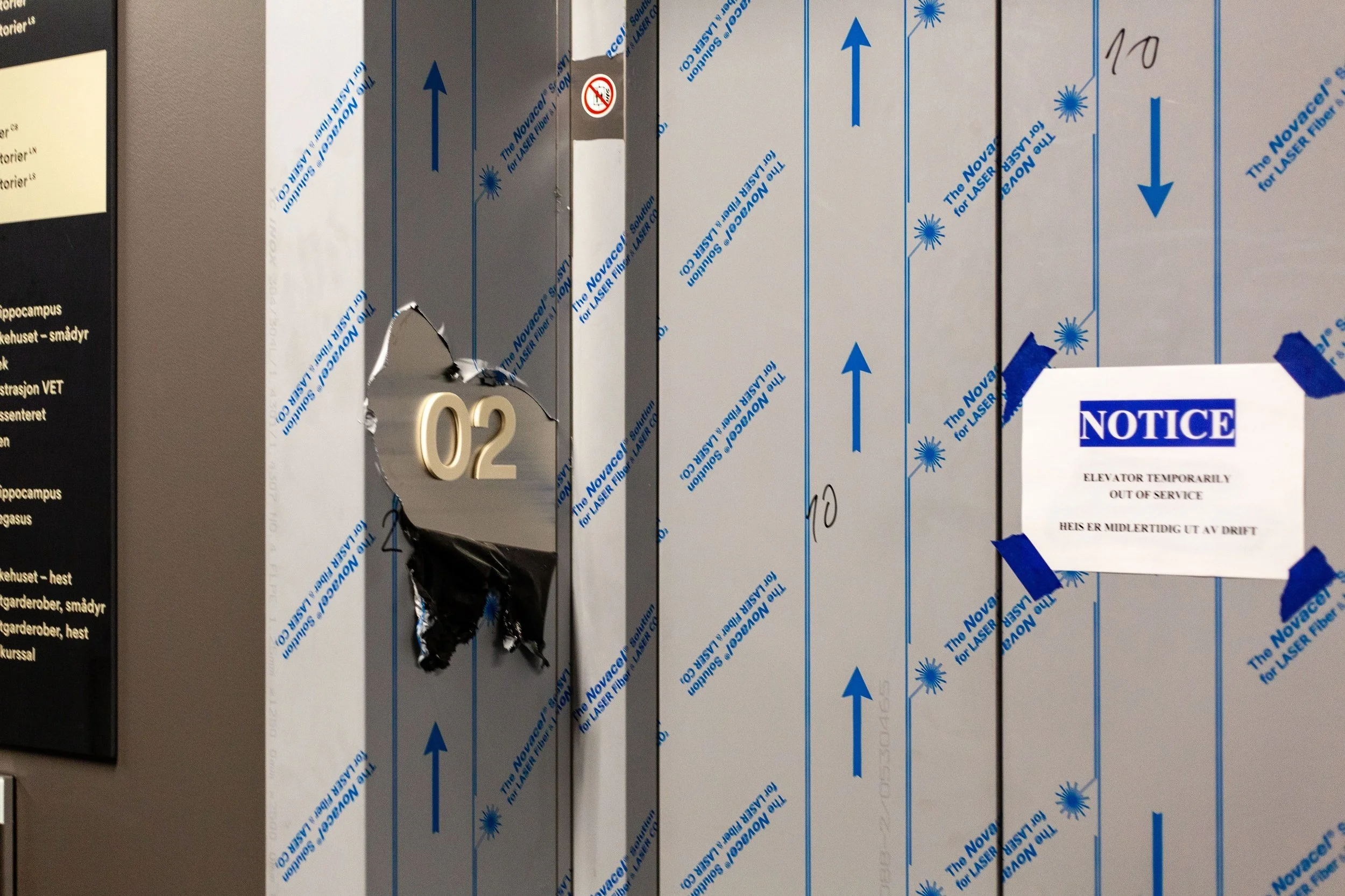 Photo: Nathalie G. Bjørneby, 11/2021