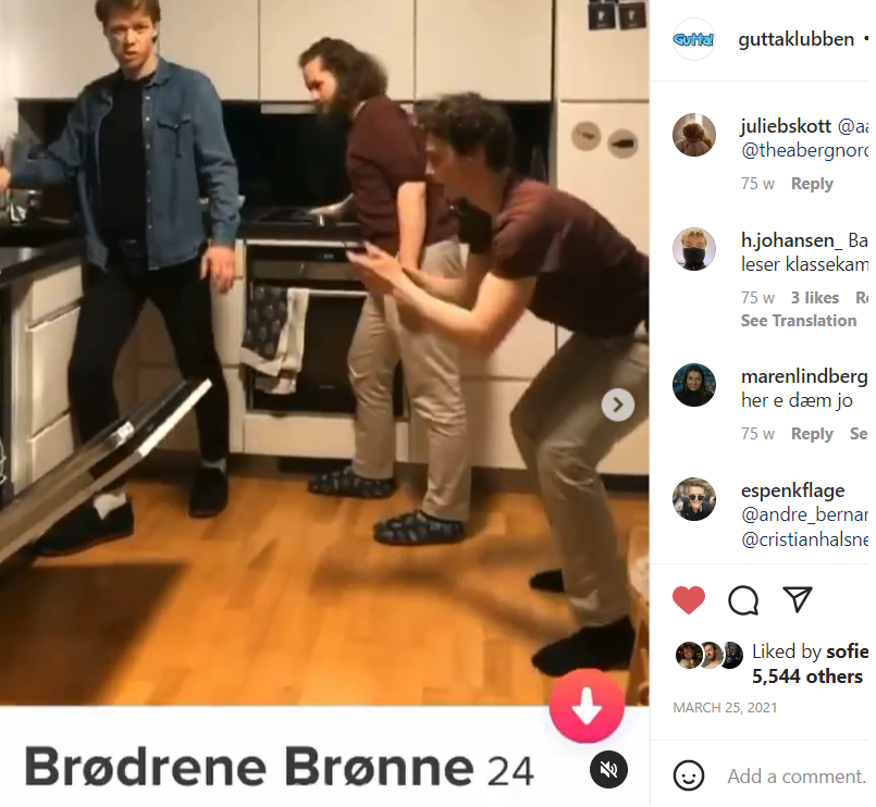 Brønnerud 2.png